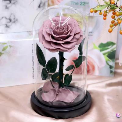 China Luxury Little Little Prince Living Preserved Rainbow Rose Flowers In Glass Ornament Dome Cover With Stabilized Led Light Colorful Gift for sale