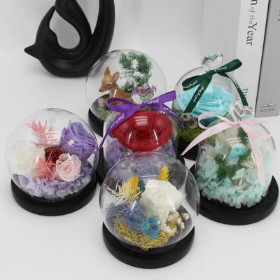 China 3hlink Luxury Little Little Prince Alive Preserved Rainbow Rose Flowers in Ornament Glass Dome Cover with Stabilized Christmas for sale