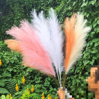 China 3HLINK Touch 3HLINK Natural Fake Reed Fake Pampas Grass Flower Plants Artificial Fluffy Dry Large Layout Decoration White Beige for sale