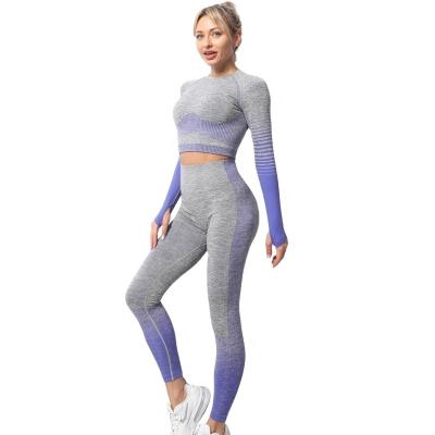 China Viable Quick Dry Seamless Yoga Set Womens Long Sleeve Yoga Suit Sports Lulu Honey Peach Top Hip Pants Women Plus Size Clothing for sale