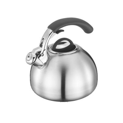 China New Style Modern Stainless Steel Quick Water Push Button Tea Boiling Kettle Realwin Tea Boiling Kettle With Soft Touch Handle for sale