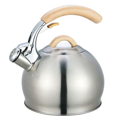 China Modern High Quality Spout Style Specifications Whistling Electric Kettle Pour Over Coffee Kettle for sale