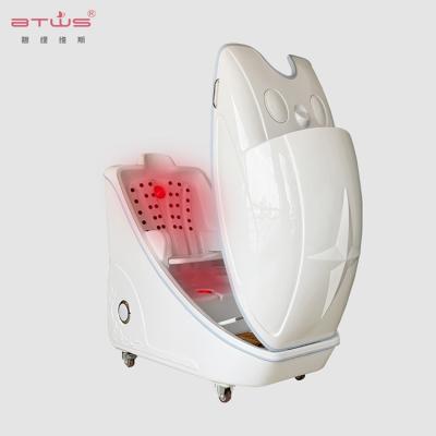 China BTWS Facelift Factory Spa Capsule Ozone Spa Capsule for sale