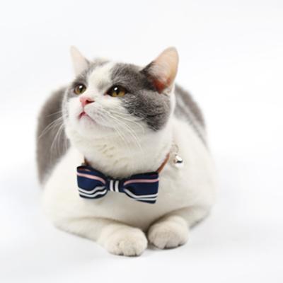 China Viable Adjustable Dog Cat Pet British Bow Tie With Bell Puppy Kitten Necktie Collar Pet Accessories for sale