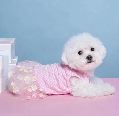 China Dog Mesh Skirt Vest Dog Clothes Summer Pet Viable T-shirt Dress Princess Skirt Lightly for sale