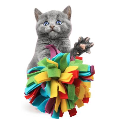 China New Viable Pet Toy Cat And Dog Universal Decompression Training Interactive Throwing Bite-Resistant Toy for sale