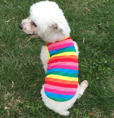 China Sustainable pet tiger pet cotton clothing spring summer and autumn colors stripe teddy dog ​​vest supplies for sale