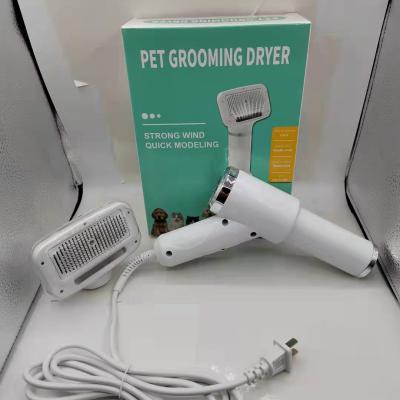 China 2021 Pet Pet Products 2 in 1 Temperature Adjustable Dog Hair Brush Blowing Dryer for sale