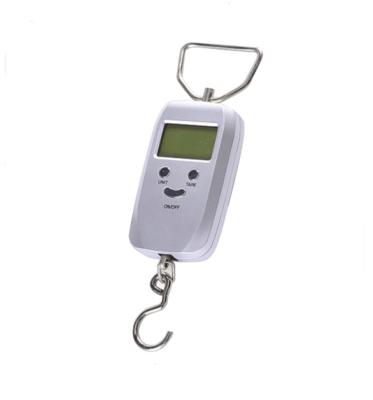 China No Special Function TYL-S04 Pocket Digital LCD Electronic Balance Fishhook Scale 50kg Digital Hanging Luggage Scale for sale