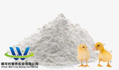 Chine 980,5% L-lysine additifs pour aliments pour animaux Demande personnalisée Acceptée avec certification CCC à vendre