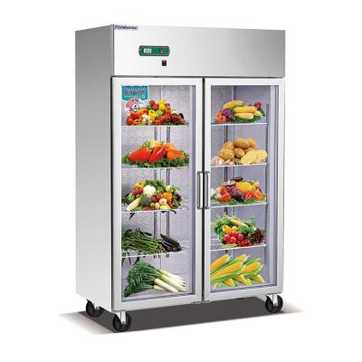 China Single-Temperature Double Door Glass Refrigerator Freezers, Refrigeration Equipment, Upright Glass Door Freezer for sale