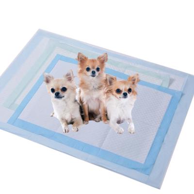 China Eco Friendly Disposable Puppy Training Pads Leak Proof High Absorbency Pet Cat Pee Pad for sale