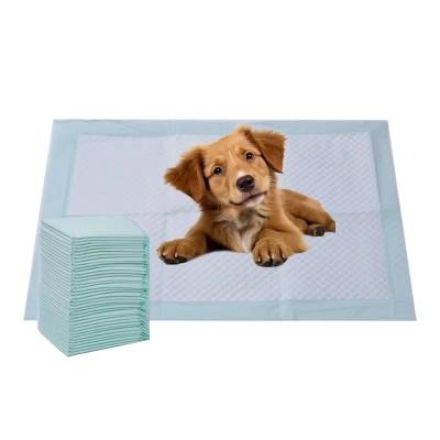 China Einweg-Super-Absorptions-Puppy-Training-Pads für große Hunde zu verkaufen