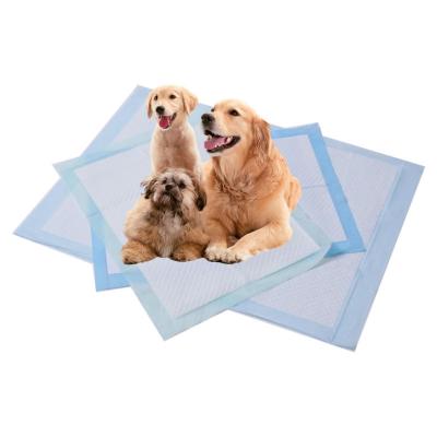 China Pads de entrenamiento ecológicos para mascotas de alta absorción Pads de absorción extra grandes para perros en venta