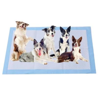 China Super Absorbent Pet Training Pads 45x33cm 45x60cm 60x60cm 60x90cm Puppy Training Mats for sale