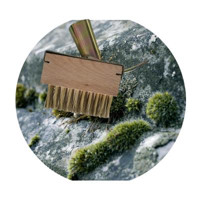 China Cleaning & Weeding Steel Wire Brush With Scraper For Cleaning Garden Paving Common Sidewalk Patio Stones Driveway Cracks for sale