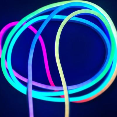 China PVC 5050 neon 120leds per meter 0.25m cut waterproof ip68 WS2812b IC neon cable, neon tube, flexible neon strip light for sale