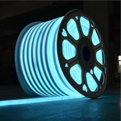 China Flexible PVC LED Neo Light 110v 220v Sides Lighting Glue Lamp Single or Double Body 50m One Roll Length Custom Holiday Decoration for sale