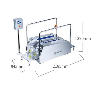 China Fully automatic factory hygienic design boots and unique cleaning machines for sale