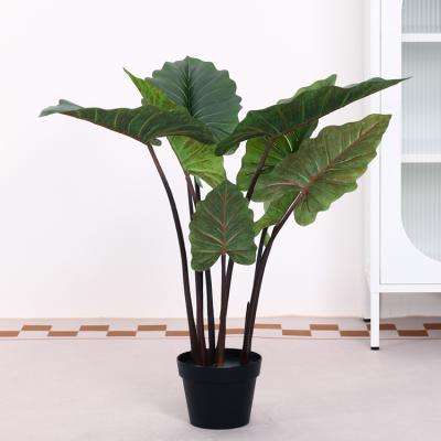 China Modern Emulational plant flower hundred styles Rainbow taro plant indoor decoration wholesales for sale