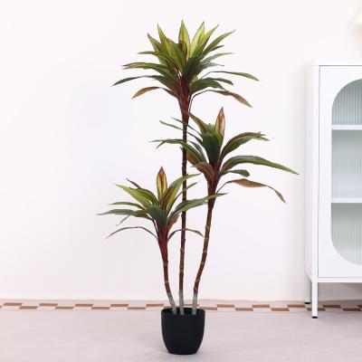 China Modern Artificial Cordyline Terminalis Tree Flower Emulational Ornamental Green Plant Detachable Tree Indoor Decoration Plastic Potted for sale