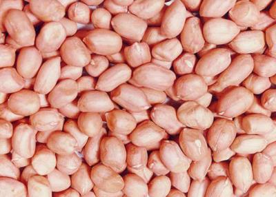 China Peanut kernels for sale