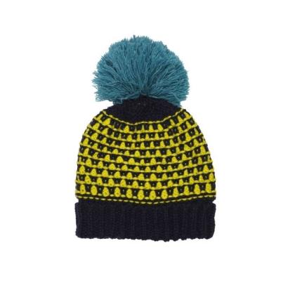 China COMMON Fashion Ladies Pompom Crochet Beanie Costom Logo Women Pattern Pompom Hats Wire With Cuff for sale