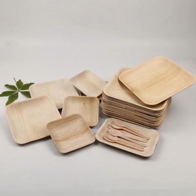 China Pizza Disposable Biodegradable Palm Leaf Paper Dish for sale