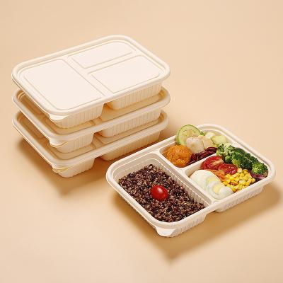 China 4/5 Compartment Disposable Eco-friendly Natural Biodegradable Cornstarch Bagasse Food Storage Container Portable Lunch Box For Outing for sale