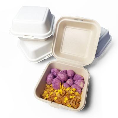 China 6inch 8inch Disposable Eco-Friendly Biodegradable Burger Boxes Compostable Clamshell Bento Lunch Box for sale