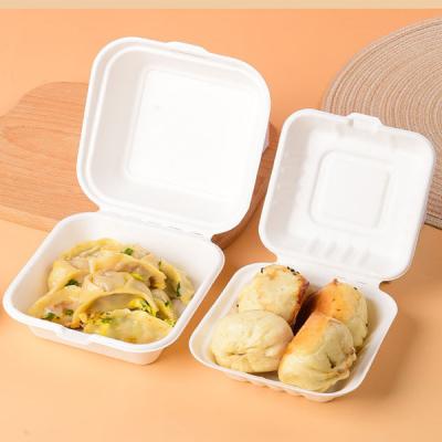 China Tanwei Pulp Eco-friendly Disposable Biodegradable Disposable Bento Cake Burger Box Lunch Box for sale