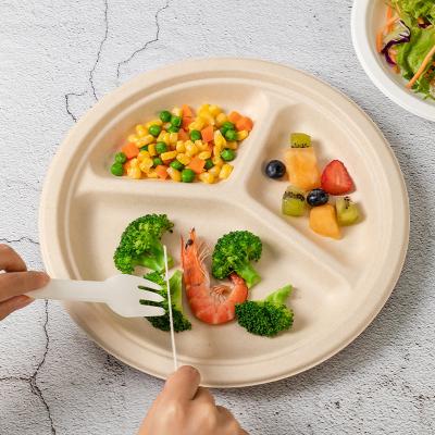 China 9 Inch Biodegradable Sugar Cane 100% Compostable Bagasse 3 Compartment Customized Round Disposable Dish for sale