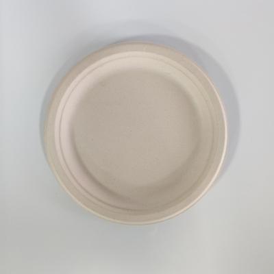 China 100% Biodegradable Compostable Sugar Cane Pizza Pulp Dish Disposable Fruit Salad Bowl for sale