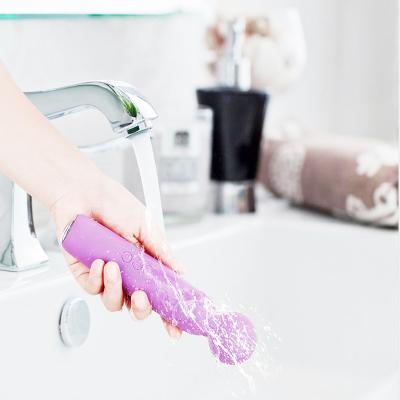 China Most Popular Eletric Waterproof Vibrating Wand Body Massager ABS Medical Silicone Rechargeable Handheld Silicone Material for sale