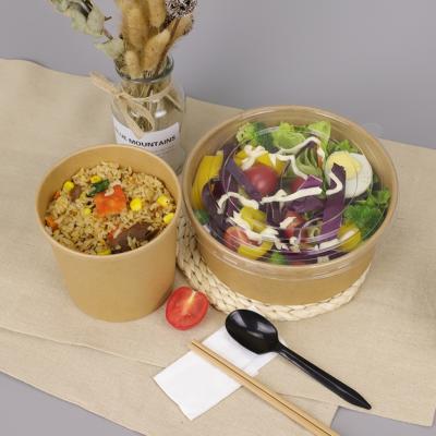 China Biodegradable Disposable 700ml Microwave Wrapping Paper Salad Safe Salad Bowl With Pet Lid for sale