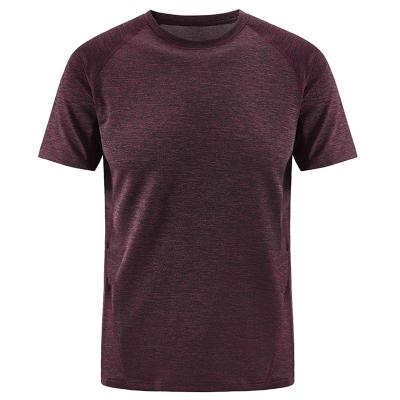 中国 Wholesale High Quality Men Muscle Sport Cheap Gym Fitness QUICK DRY Running Fitness Quick Dry Men's T-Shirts 販売のため