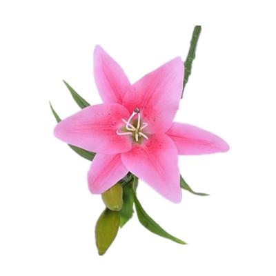 China Wedding hot selling fake lily artificial flower living room decoration display home bouquet high simulation lily flower bouquets for sale