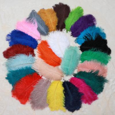 China Wedding Big Hair 15-80cm Stage White Ostrich Feather Decoration Wedding Ostrich Feather Manufacturers for sale