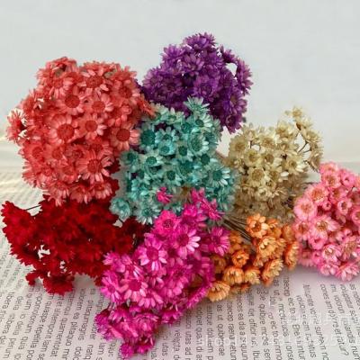 China Wedding mini chrysanthemum dyed dry flowers for home decoration and wedding with natural dry bouquet for sale