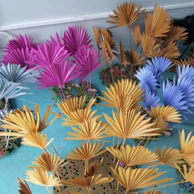 China Wedding soft painting color sun fan leaf wedding decoration decoration dry flower design for wine bar cafe for sale