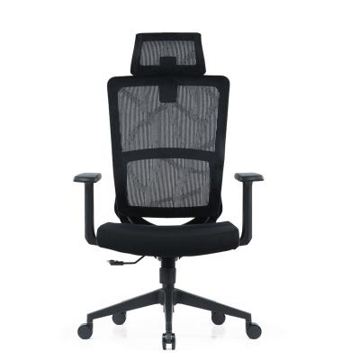 China (Waist)Adjustable Computer Office Chair With Lumbar Support Adjustable Thick Cushion Sponge High Back Office Chair for sale