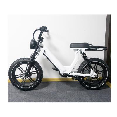 China Aluminum Alloy Made in China Top Quality Pedal Assist Fat Bike Electric Bike Electric Bicycle for sale