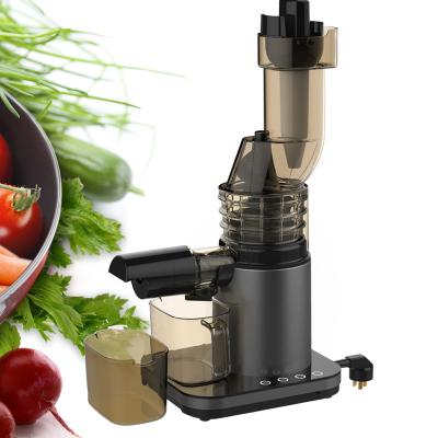 China Professional Fruit Vegetable Juicer Extractor Double Wide Mouth Auger Slow Juicer Machine For Juice Extraction Highly Efficient Juicer for sale