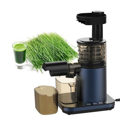 China RV Double Twin Vegetable Fruit Auger Touch Control Slow Juice Maker Extractor Machine Wheat Slow Cold Press Grass Cold Press Juicer for sale