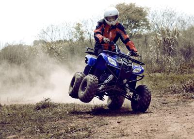 China Cuatro estilo para uso general del martillo de las ruedas 250cc ATV, cinco velocidades con revés en venta