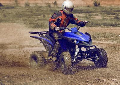 China Utilidad azul ATV que compite con, cinco velocidades del adulto 250cc con revés en venta