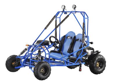 China Small Electric Automatic Dune Buggy 90cc For Beach , CE & EEC for sale