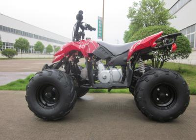 China Mini quadrilátero hidráulico vermelho da utilidade ATV 110CC das crianças para a floresta à venda