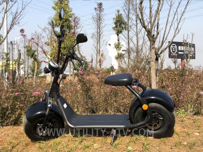 China Big Fat Tire Standing Electric Scooter Runscooters 60V 1500W For School Road for sale