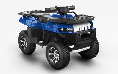 China Street Legal Gas Powered 4x4 Utility ATV 700CC , Racing ATVS For Adult for sale